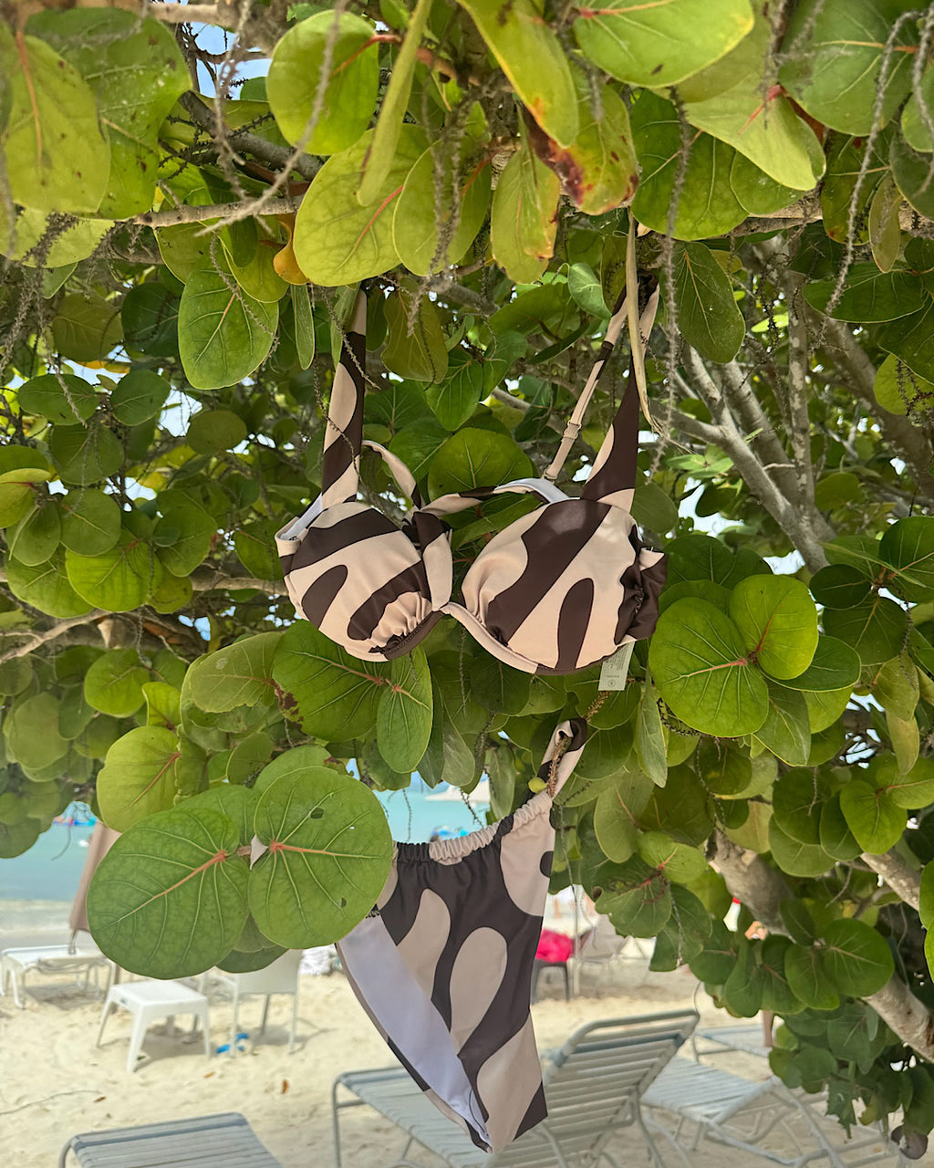 The Collective Swim Bottoms