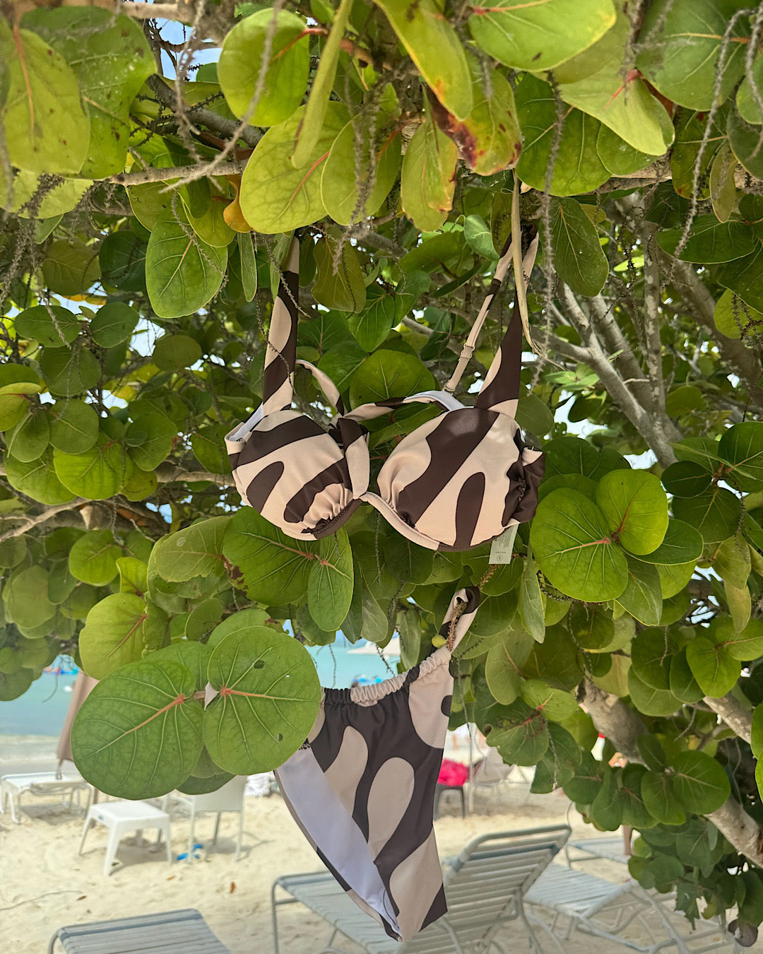 The Collective Swim Bottoms